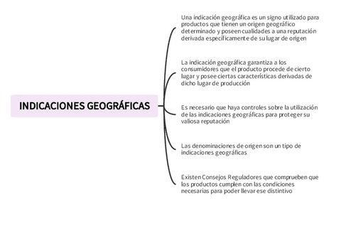 INDICACIONES-GEOGRAFICAS.pdf