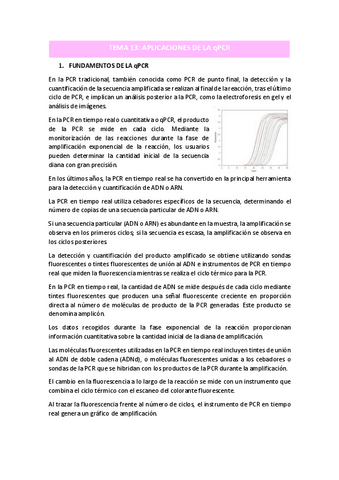 TEMA-13.pdf
