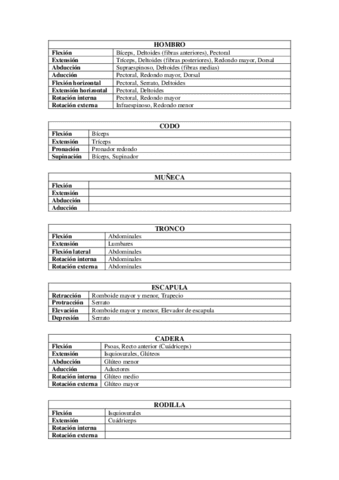 Funciones-musculares-para-cada-articulacion.pdf