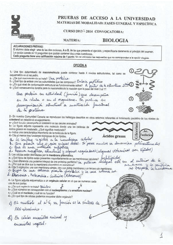 Solu-EBAU201314-A.pdf
