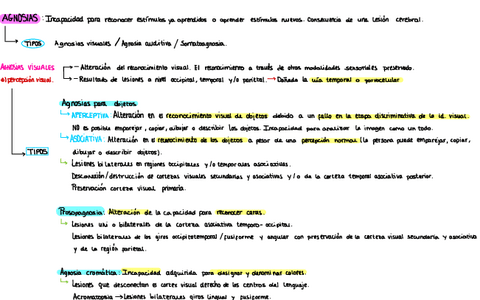 Esquema-Agnosias-y-Apraxias.pdf