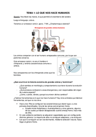 TEMA-1-ANTRO.pdf