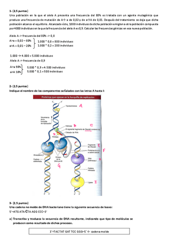 EXAMEN-1o-PARCIAL-GENETICA.pdf