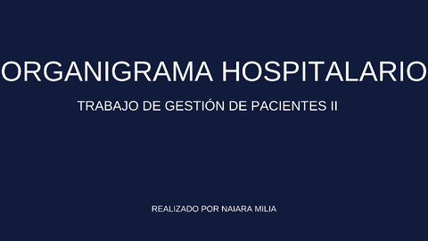 EJEMPLO DE ORGANIGRAMA HOSPITALARIO.pdf