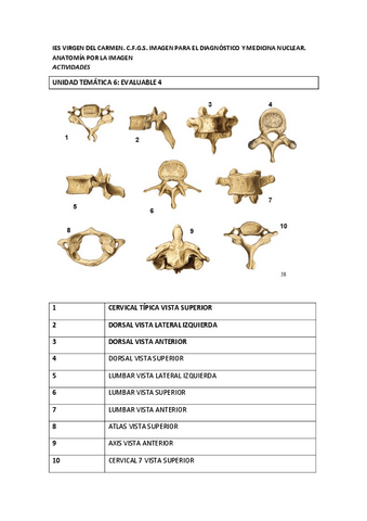 EVALUABLE-4-vertebras-RESUELTA16006b72e22f4b79b671b206899f9367.pdf