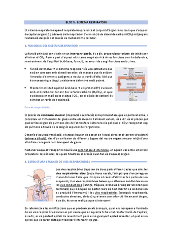 sistema respiratori.pdf