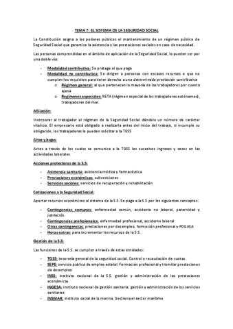 TEMA-7.pdf