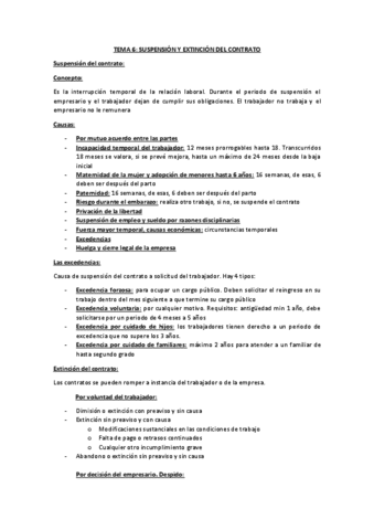 TEMA-6.pdf