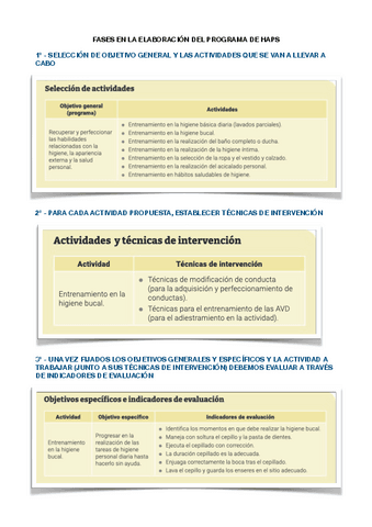 RESUMEN-FASES-EN-LA-ELABORACION-DEL-PROGRAMA-DE-HAPS-.pdf