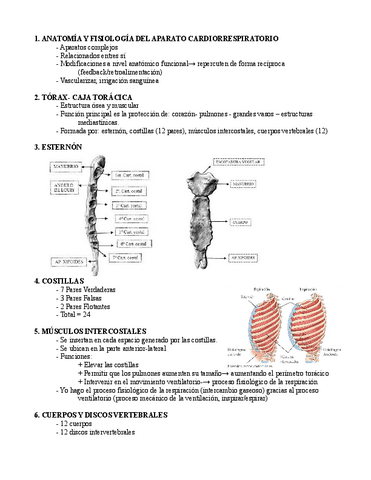 UD4-Aparato-Cardiorrespiratorio.pdf