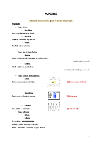 Copia-de-Apuntes-para-ApReNdEr-mUcHo-V2.pdf