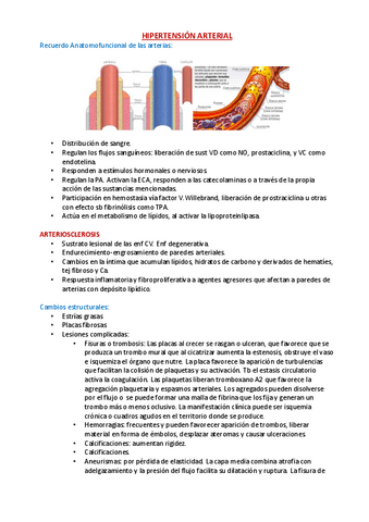 Hipertension-arterial.pdf