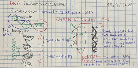 DNA.jpg