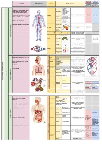 trabajo-de-terminologia.pdf