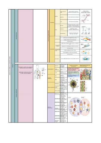 trabajo-de-terminologia-2.pdf