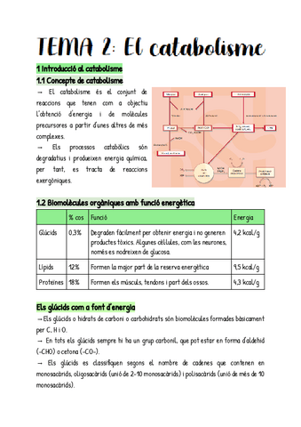 T2-Bio.pdf