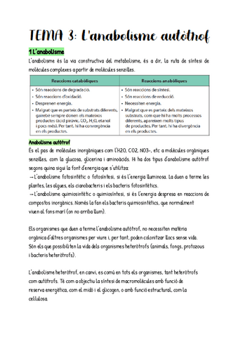 T3-Bio.pdf