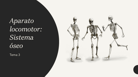 Tema-3-Procesos-I-Introduccion-a-la-anatomia.pdf