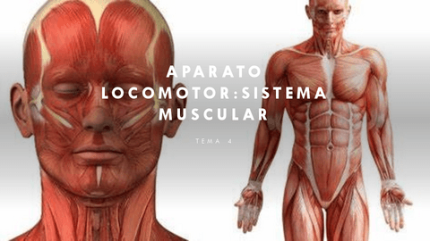 Tema-4-procesos-sistmuscular-I.pdf