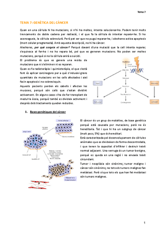 TEMA-7-GENETICA-DEL-CANCER.pdf