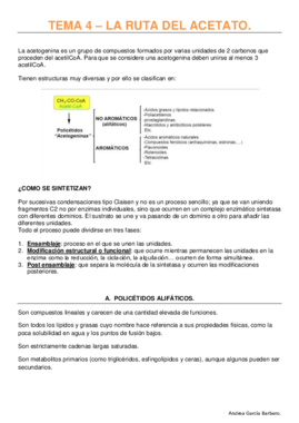 TEMA 4 - RUTA DEL ACETATO.pdf