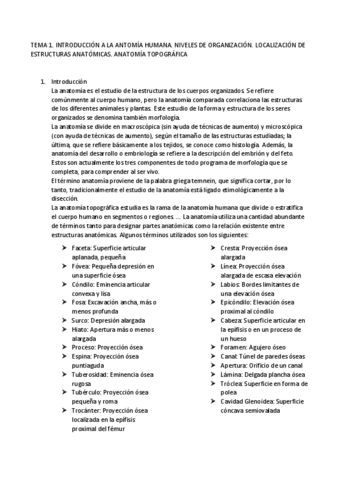 TEMA-1.pdf