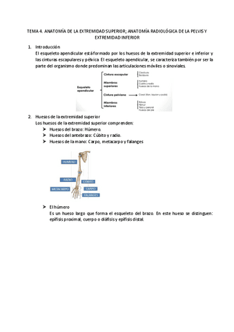 TEMA-4.pdf