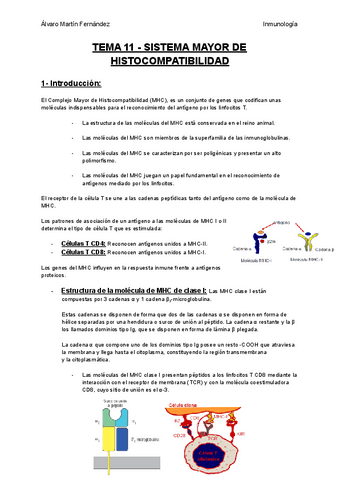 TEMA-11-SISTEMA-MAYOR-DE-HISTOCOMPATIBILIDAD.pdf