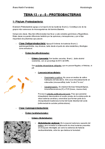 TEMA-13-g-d-PROTEOBACTERIAS.pdf