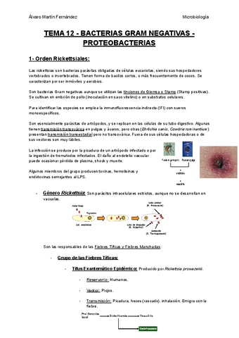 TEMA-12-BACTERIAS-GRAM-NEGATIVAS-PROTEOBACTERIAS.pdf