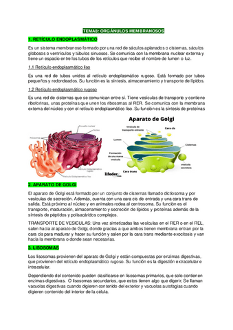 Biologia-T8-1.pdf