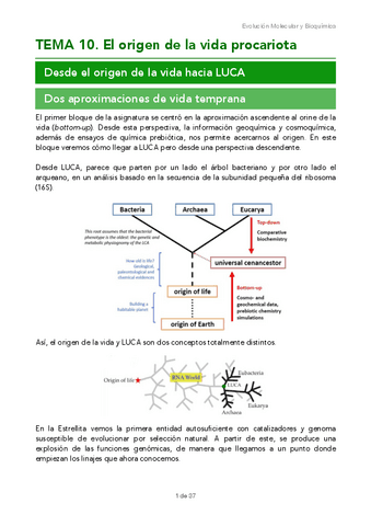 TEMA-10.pdf