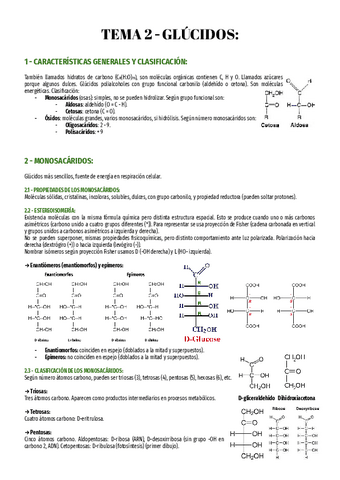 T2-Bio-2o.pdf