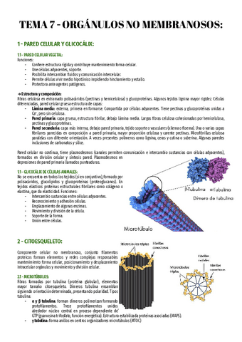 T7-Bio-2o.pdf