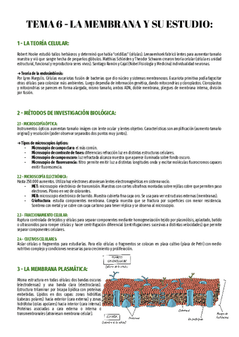 T6-Bio-2o.pdf
