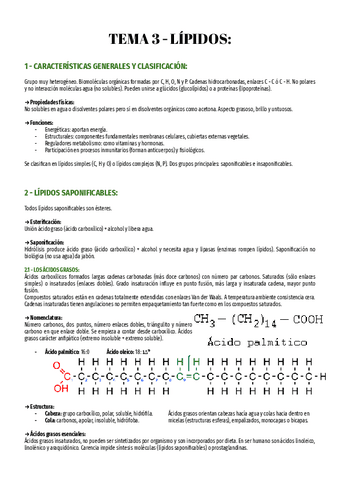 T3-Bio-2o.pdf