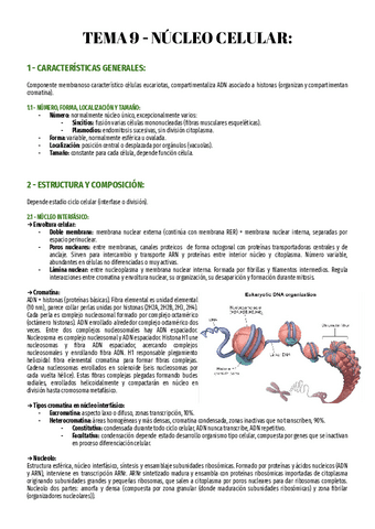 T9-Bio-2o.pdf