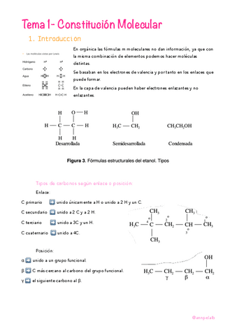 Tema-1-Constitucion-Molecular-.pdf