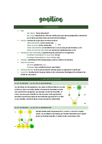 genetica.pdf
