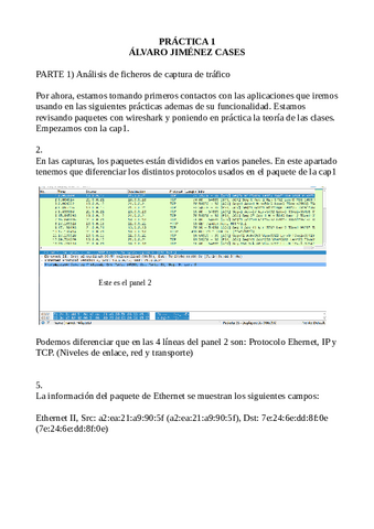 PRACTICA1.pdf