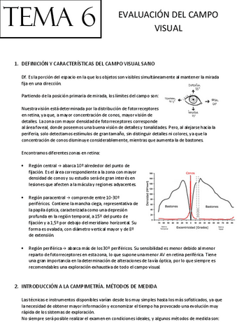 Tema-6-Evaluacion-del-campo-visual.pdf