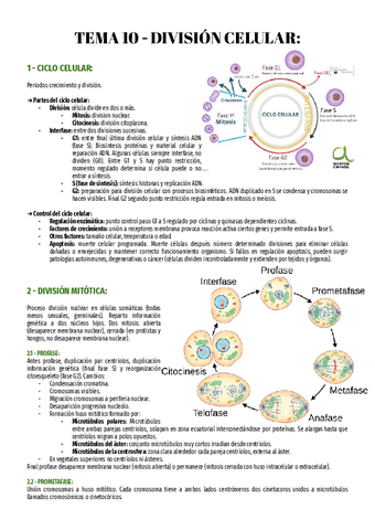T10-Bio-2o.pdf