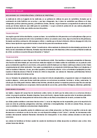 TEMARIO-COMPLETO.pdf
