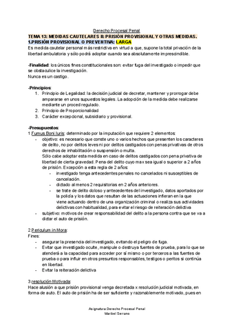 TEMA-13-D-Procesal-Penal.pdf