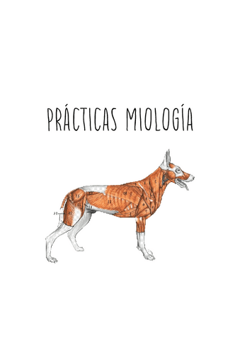 Practicas-miologia.pdf