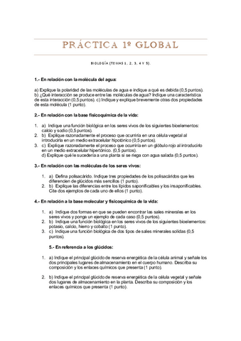 PRACTICA-1o-GLOBAL.pdf