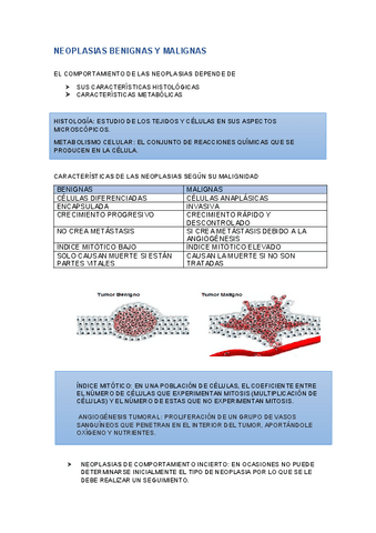 NEOPLASIAS-BENIGNAS-Y-MALIGNAS.pdf