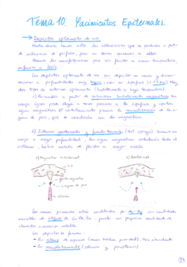 Tema 10 Yacimientos.pdf