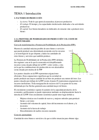 TEMA-1-2-y-3.pdf