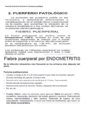 Tema 16 F. Resumen